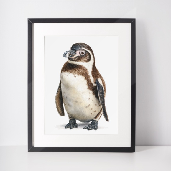 Watercolor Humboldt Penguin Wall Art Print, Unframed - Charming Coastal Elegance - Picture 3 of 7